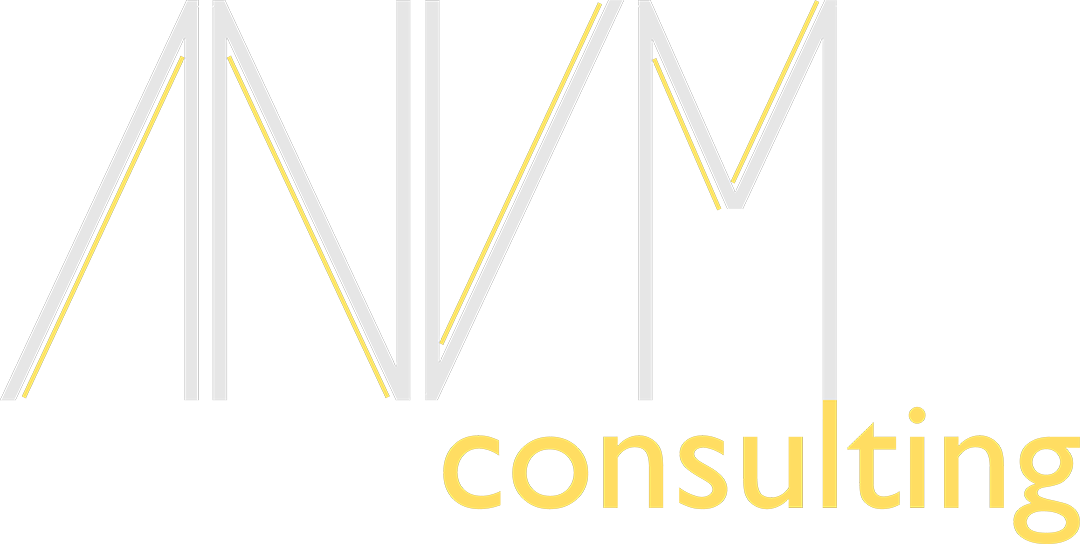 ANVM consulting